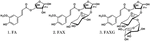 2D-HSQC-NMR-Based Screening of Feruloylated Side-Chains of Cereal Grain Arabinoxylans